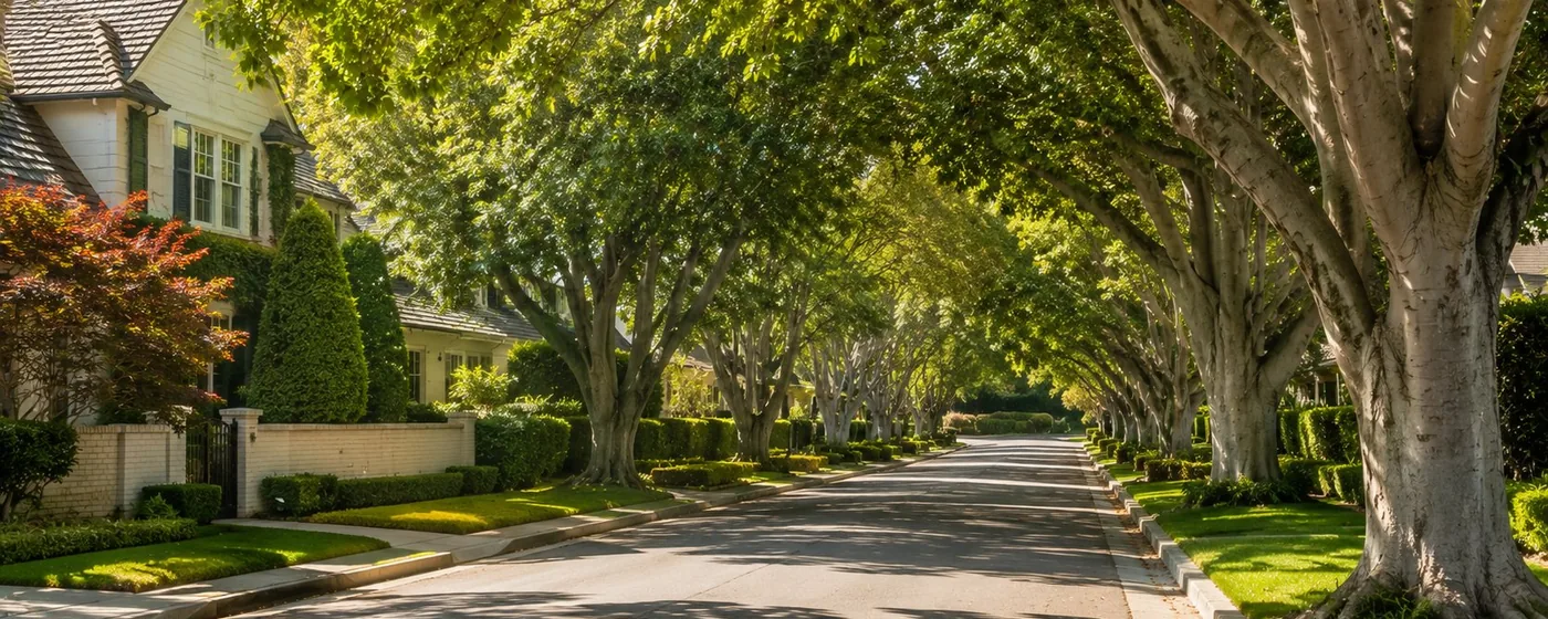 Buy a home in Brentwood CA — get 1% cash back at closing Brentwood Los Angeles tree-canopy street with elegant homes and manicured gardens — Portfolio Home Realty buyer agent